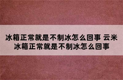 冰箱正常就是不制冰怎么回事 云米冰箱正常就是不制冰怎么回事